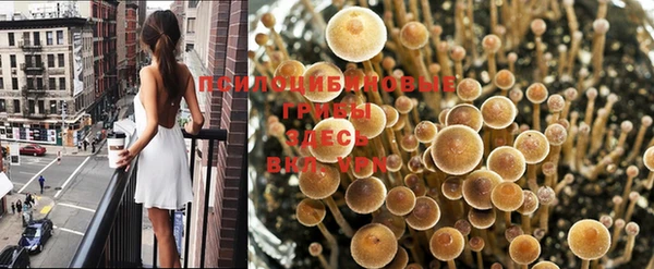 герыч Армянск