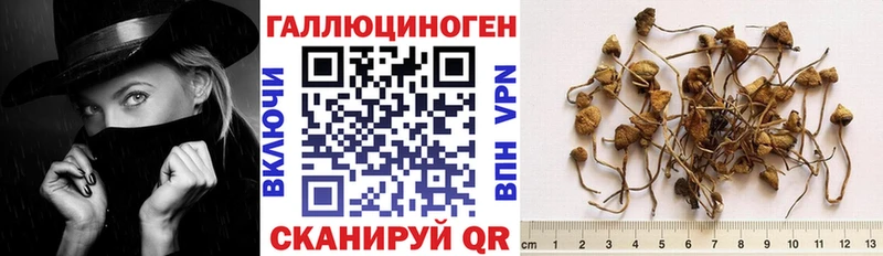 купить  сайты  Волгоград  МЕГА рабочий сайт  Галлюциногенные грибы прущие грибы 